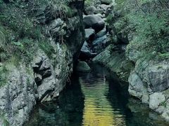-大奇山国家森林公园