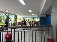-圣淘沙天际线斜坡滑车