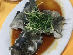 -蚝专家(北滘店)