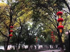 -丰台科技园生态主题公园