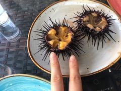 -南山酒肆(南山董事绘店)