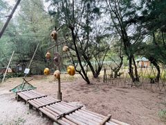 -北海金海湾红树林生态旅游区