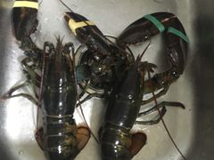 -盒马鲜生(曜一城店)