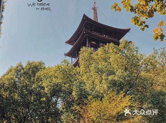 南方入冬了还是一片秋色， 河坊街的路几乎每一条都是林