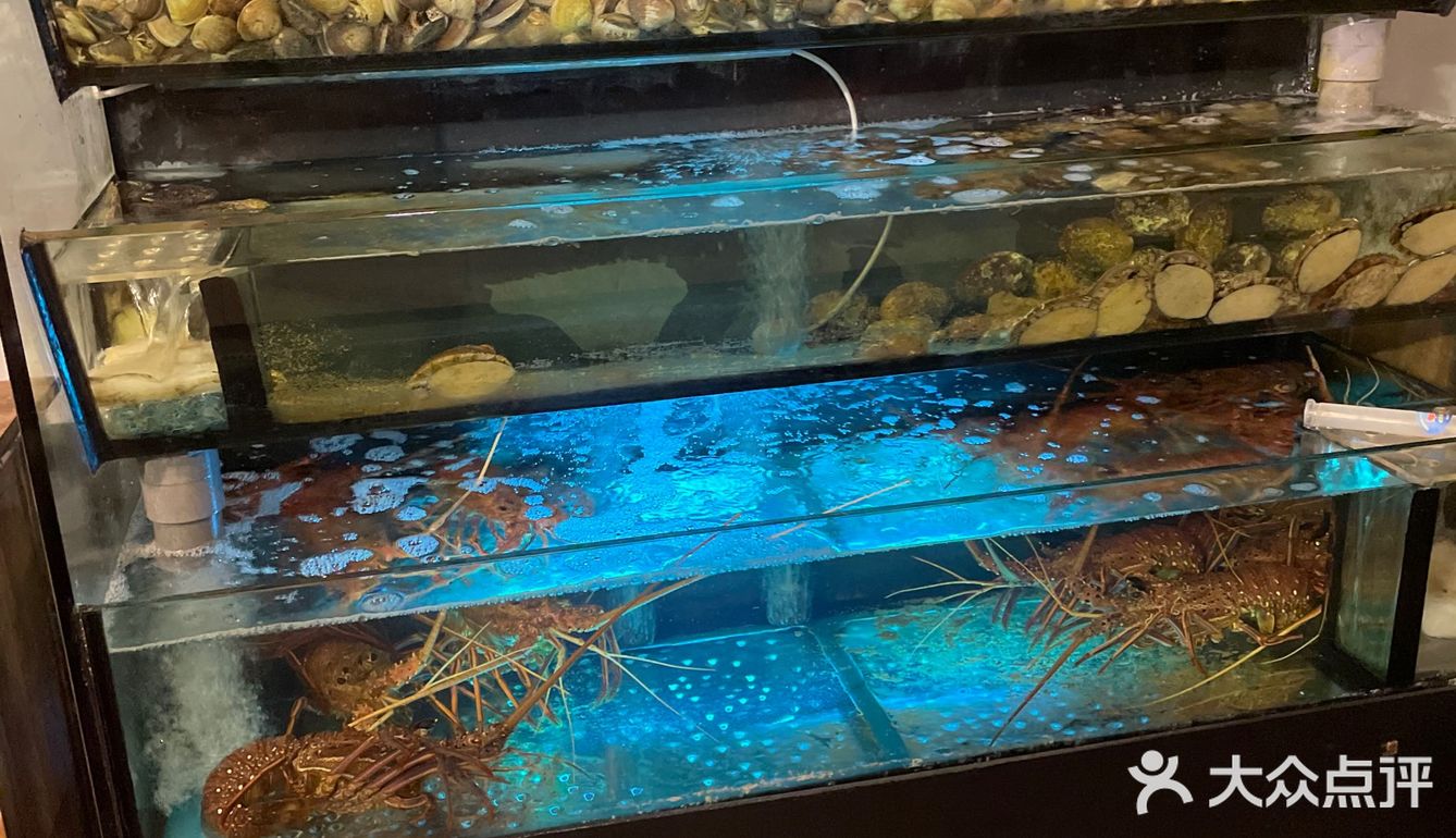 【即燒海鮮推介】#南瀛水產