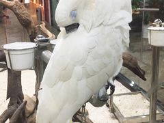 -万达广场(济南魏家庄店)