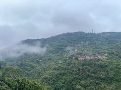 -三亚亚龙湾人间天堂鸟巢度假村