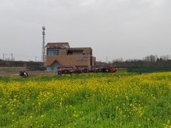 -桤木河湿地公园