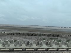 -南汇新城海滩