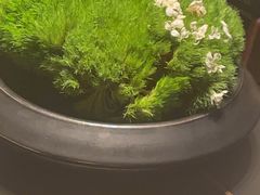 -海立阁海鲜江浙菜(漕河泾印象城店)