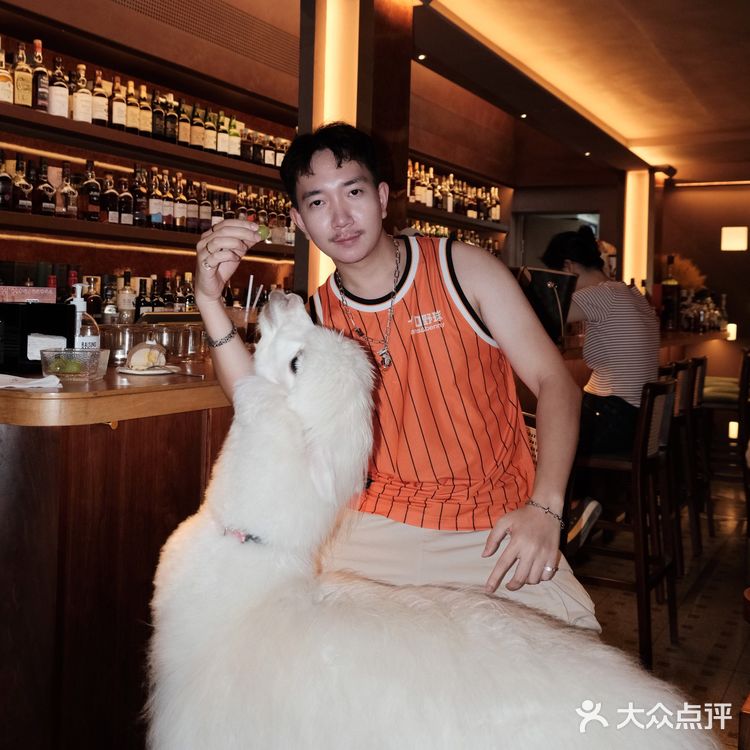 爱的投喂♡一颗水晶葡萄俘获神兽🦙芳心