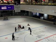 -TheRink大零溜冰场(IFS国金中心店)