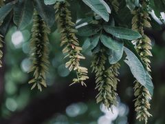 -南京晨光1865创意产业园