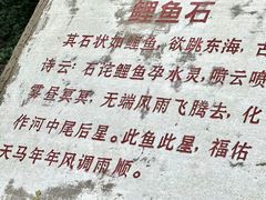 -上海佘山国家森林公园天马山园