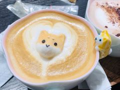 -逗柴咖啡屋·狗咖猫咖宠物桌游