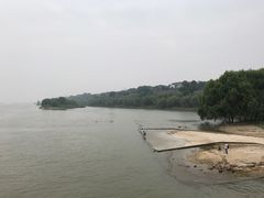 -湖南东洞庭湖国家级自然保护区