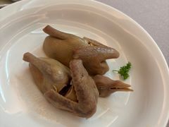 青麻卤鸽-玖味(老工人西路店)