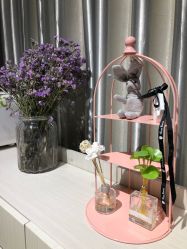 -三只熊皮肤管理中心