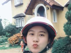 -黄色小屋