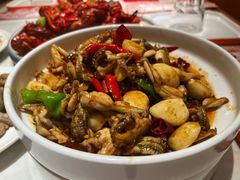 馋嘴蛙仔-杨氏青龙虾·羊蝎子(金盛路总店)