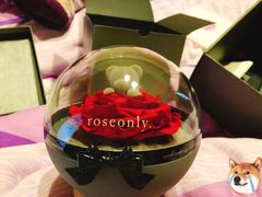 -ROSEONLY诺誓(国际广场购物中心店)