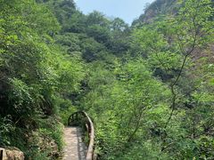 -九龙潭景区