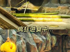 -扬州市茱萸湾风景区