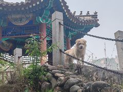 -北京凤凰岭