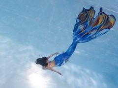 -上海潜殿潜水中心