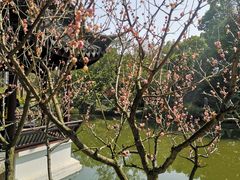 -上海醉白池公园