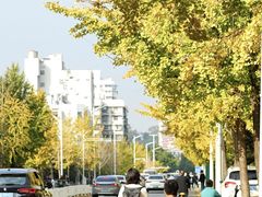 -首义路(地铁站)