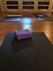 -威思丽高温瑜伽会馆