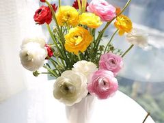 -ChaKo Flora ·茶子花艺 (市北店)