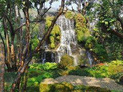 -Chom Cafe and Restaurant