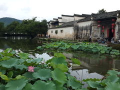 -南湖书院