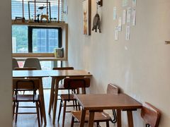 -猫小主咖啡·猫咖cat cafe(福田店)