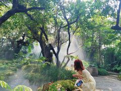 -Chom Cafe and Restaurant