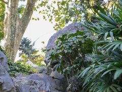 -静安公园(静安寺街道)