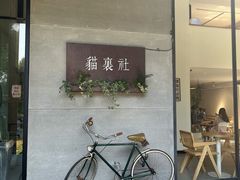 -猫里有甜