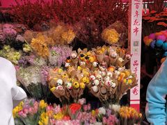 -越秀西湖花市(广州城市广场花卉店)