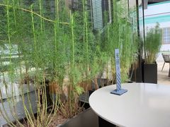 -来回·咖啡(钟村咖啡豆店)
