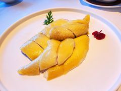 白切湛江走地鸡-粤界(望京金辉店)