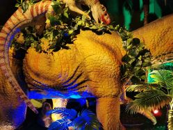 -恐龙探索乐园(磁器口店)