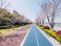 -杭州奥体中心-体育场