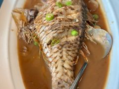 青衣鲷-闽海肴(北辰荟店)