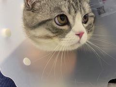 -达爱动物医院·犬猫分区·CT·复杂眼科(远洋山水分院)