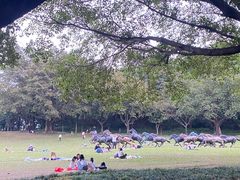 -广州雕塑公园
