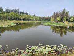 -东郊湿地公园