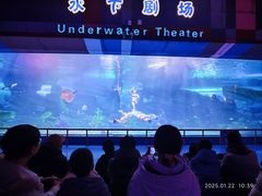 -泉城欧乐堡海洋极地世界