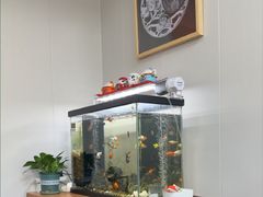-会麦二手奢侈品包包手表回收寄卖(八佰伴店)